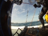 ... reißt er den Spi doch am Fall hoch, fummelt... © SegelReporter.com