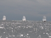 opticup-2010-258