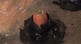 Eine Möhre kann als Pfropfen gute Dienste leisten.