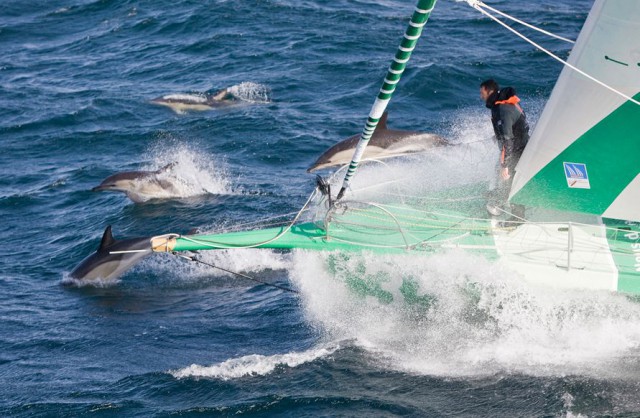 Open 60, IMOCA