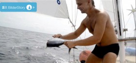 Schöner Fang auf dem Weg nach Sri Lanka. Der Smutje kümmert sich um die Zubereitung. © Sailing Conductors Schöner Fang auf dem Weg nach Sri Lanka. Der Smutje kümmert sich um die Zubereitung. © Sailing Conductors