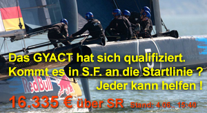 ALL IN Racing digitales Sparschwein
