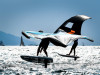 © orsini/foiling week