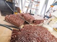 14_03_230308_CHD_GUYOT_03465