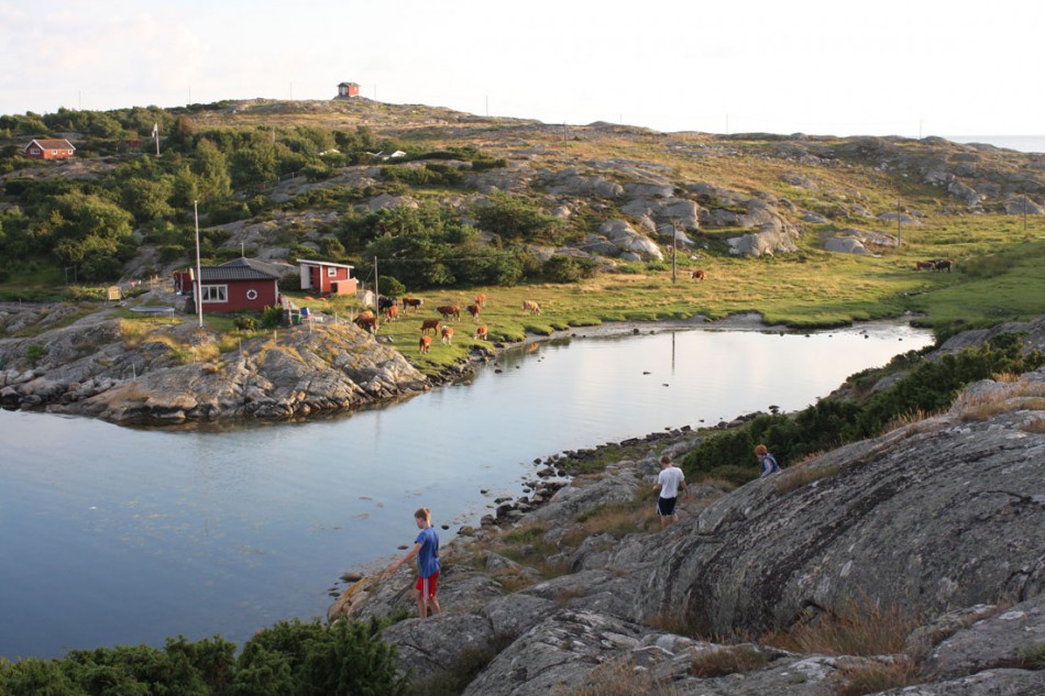 ...Die Kids erkunden die Gegend in der Bucht des Naturhafens Malö Hamn. © SegelReporter.com