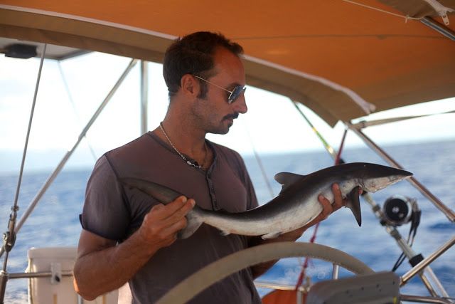 Der Skipper angelt auch schon mal einen Hai und Taru zaubert daraus ein herzhaftes Mal. © sailingaroundtheglobe.blogspot.com