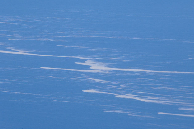 So sah der Bimsstein-Teppich im Sommer dieses Jahres von oben aus. Was eher wie Schaum oder brechende See aussieht, sind riesige Mengen des schwimmenden Vulkangesteints  © GNS-Science