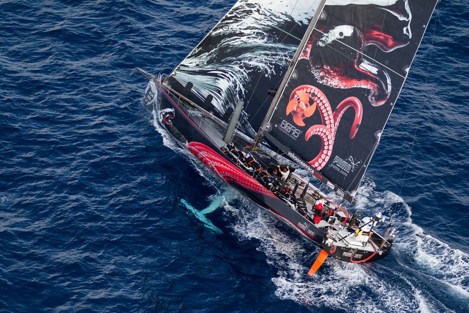 ...Auf den letzten Meilen wurde es noch einmal eng. Puma musste seine Kielflosse weit nach Luv strecken... © IAN ROMAN/Volvo Ocean Race
