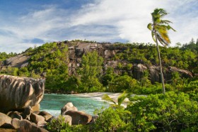 Die Seychellen haben viel Grün zu bieten. Das Vallee de Mai, ein Regenwald-Tal im Landesinneren, ist UNESCO Welt-Kulturerbe. Die Seychellen haben viel Grün zu bieten. Das Vallee de Mai, ein Regenwald-Tal im Landesinneren, ist UNESCO Welt-Kulturerbe.