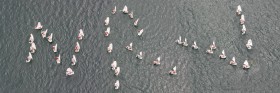 Formationssegeln. Zwölf Optisegler bilden am Gardasee nacheinander die Vereins-Buchstaben des NRV nach. Trainer Manuel Weiland fügte sie zusammen. Nur beim beim R musste er etwas schummeln. © Nicola Parlow/Manuel Weiland