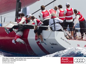 Das All4One-Team versucht einen überfahrenen Mondfisch vom Ruder zu kratzen. © Ian Roman/Audi Medcup