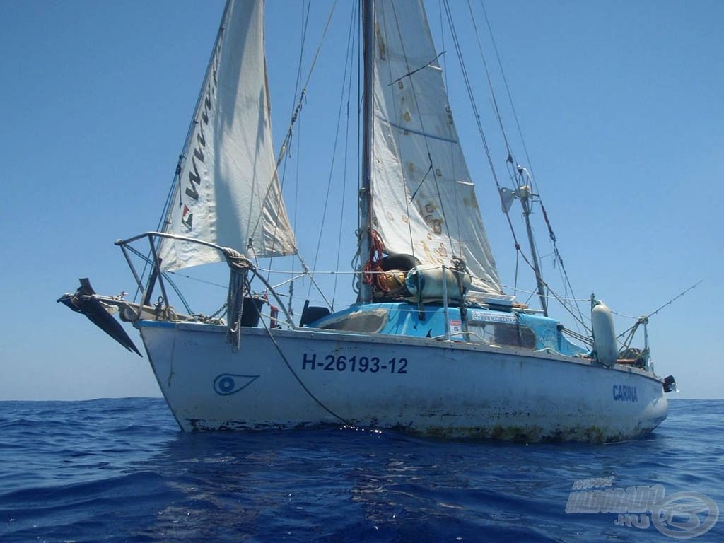 Ansicht von “Carina” bei einem Bad auf hoher See. © A. Meder
