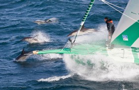 Open 60, IMOCA