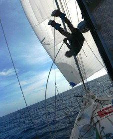 Die gebeutelte Groupe Picoty Crew schickt einen Gruß vom 10. zum 7. Platz, wo Stabhochsprung-Olympiasieger Jean Galfione an der Pinne sitzt. Mit solchen Späßen holen sie Anna Maria Renken wohl nie ein... © Groupe Picoty