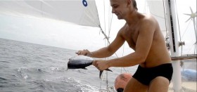 Schöner Fang auf dem Weg nach Sri Lanka. Der Smutje kümmert sich um die Zubereitung. © Sailing Conductors