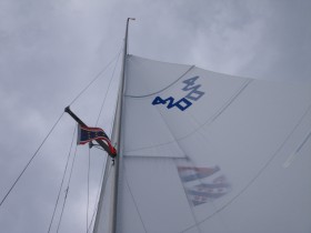 Mädchensegel an KZV-Palme © Stefan und Kai