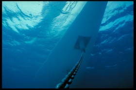 Da staunt der Fisch und der Fachmann wundert sich. Blick unter die ankernde "Wallygator 2". © Wally Yachts Da staunt der Fisch und der Fachmann wundert sich. Blick unter die ankernde "Wallygator 2". © Wally Yachts