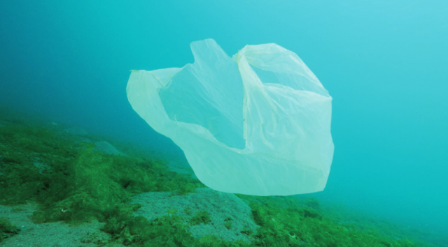 Sieht für Wale offenbar ziemlich “fressbar” aus – eine kleine, gar nicht so harmlose Plastiktüte © nabu Plastikmüll, Meeresverschmutzung, Wale