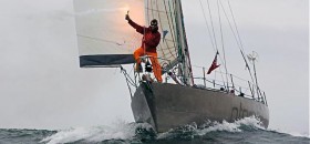ostar, Villiger