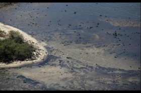 Lecker: ein ganz normaler Strandabschnitt an der Bucht. Und, nein, dies sind keine Algen, die dort treiben © Secretaria de Estado do Ambiente do Rio