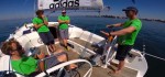 Knarrblog Match Race Germany: Onboard Videos, Motor Vollgas und das böse A-Wort