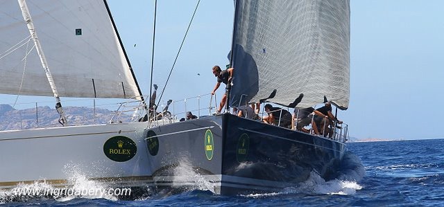 Kollision, Maxi Yacht,