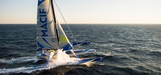 Macif, TJV