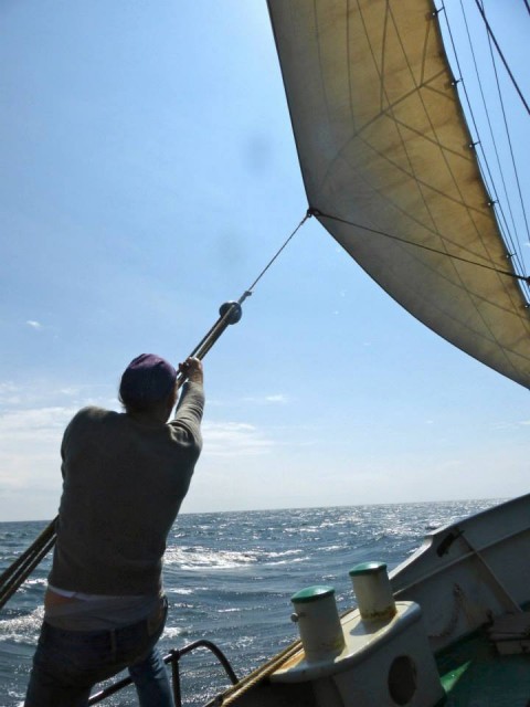 Unterwegs nach Sylt mussten die Passagiere durchaus auch mal mit anpacken © segelreederei hass Frachtsegeln, Linienverkehr, Segelreederei Hass, Pleite