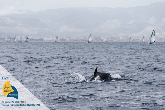 Spannender Besuch für die Olympiasegler. © Sailing Energy