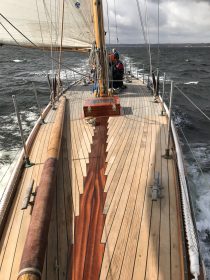 Zwölfer Anita