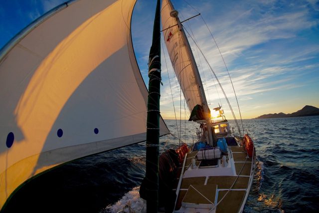 Die “Voyage d’Yvenic ” soll für ununterbrochene 6.500 Seemeilen das Zuhause von Skipper und Huhn sein © yvenic Huhn, Langfahrt, voyage Yvenic