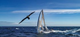 Albatross, Volvo Ocean Race
