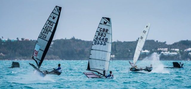 Moth Worlds Bermuda