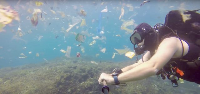 Gehören solche Bilder dank Boyan Slat und seinem Ocean CleanUp-Projekt bald der Vergangenheit an? ©<br />cheeseandjamsandwich