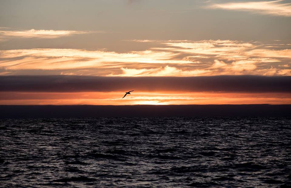 Ruhe in Frieden, Volvo Ocean Race