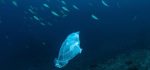Plastik, Müll, Ozeane