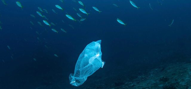 Plastik, Müll, Ozeane