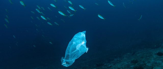 World Ocean Day – wie traurig, dass Plastiktüten zum Symbol für den Zustand unserer Meere wurden © world ocean day Plastik, Müll, Ozeane