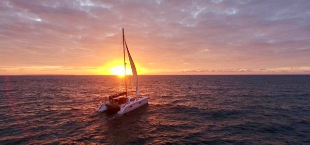 Cruising, La Vagabonde