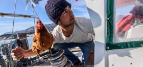 Blauwasser, Huhn