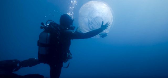 Umwelt, Delfine, Wale, Sea Shepherd
