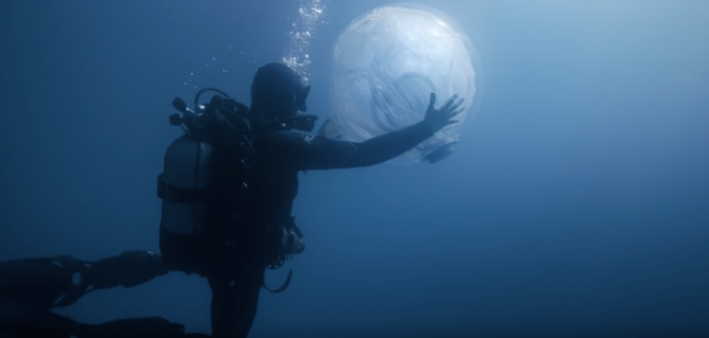 Die Todesschreie von 30 Walen in einem Mix – Sea Shepherd mahnt © sea shepherd Umwelt, Delfine, Wale, Sea Shepherd