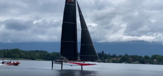 Alinghi