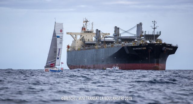 Die dicken Pötte werden auf der Gesamten Transat eine Gefahr sein © mini-transat