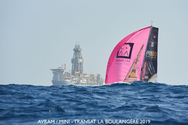 Alle halbe Stunde Ausguck! © breschi mini-transat