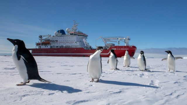Das Ocean Infinity-Mutterschiff im Forschungseinsatz im Weddell-Meer © ocean infinity