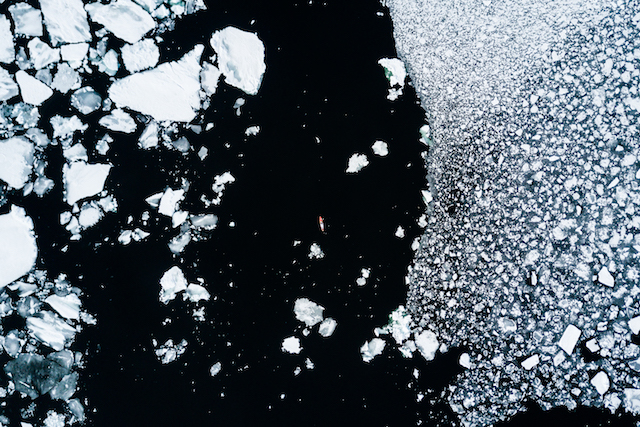 Zwischen Eisschollen vor Grönland. <em>Foto: Daniell Bohnhof</em>