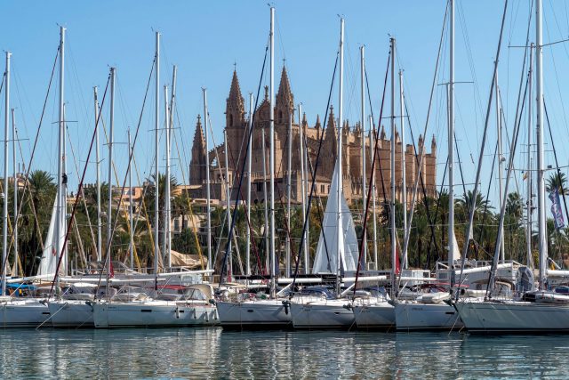 Palma ist definitiv einen Besuch wert. Im Hintergrund ist die berühmte Kathedrale zu sehen © Nikolas Woeckner