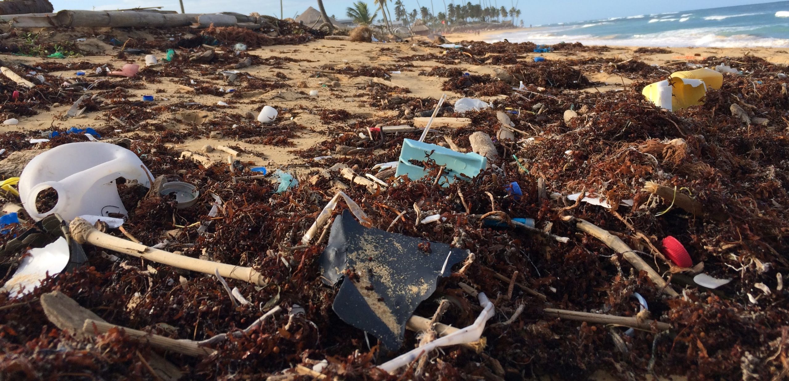 Im Laufe der Zeit können sich Plastikteile in der Meeresumwelt vor allem durch Verwitterung und mechanische Kräfte wie Wellenschlag und Abrieb mit Sand zersetzen und in kleinere Stücke zerfallen © Dustan Woodhouse, Unsplash