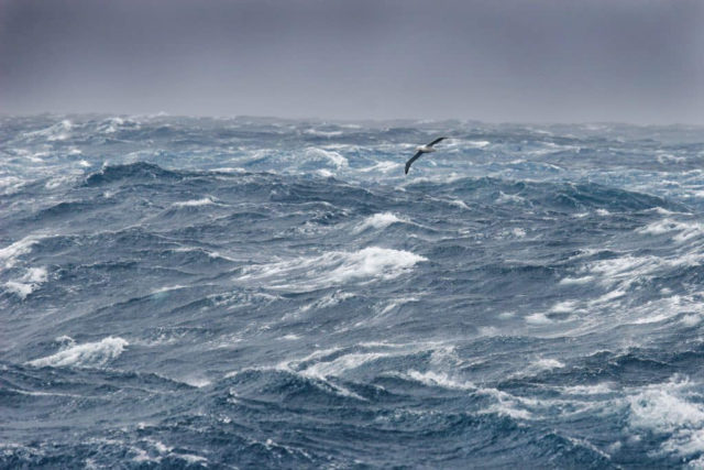 Im Southern Ocean wird’s ungemütlich, garantiert! © stichelbault